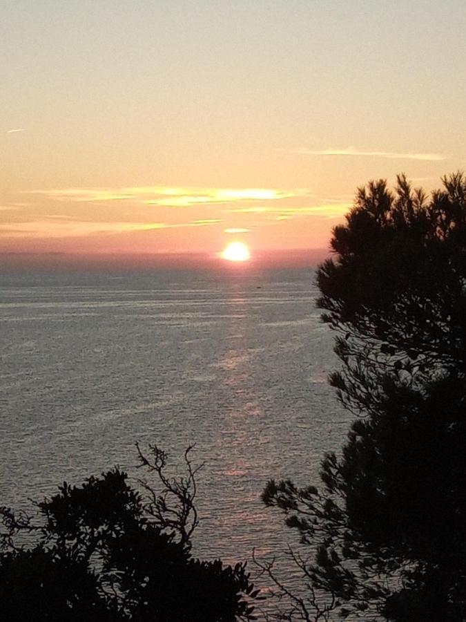 Apartament Tamaris Bay La Seyne-sur-Mer Zewnętrze zdjęcie
